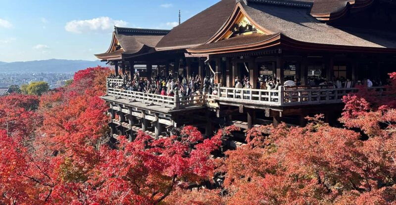 kyoto-tour-in-spanish-sanjusangendo-kiyomizudera-yasaka-ginkakuji