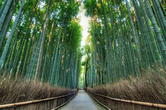 kyoto-tour-with-english-speaking-chauffeur