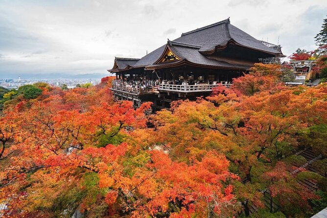 kyoto-uji-full-day-sightseeing-tour-from-osaka-or-kyoto