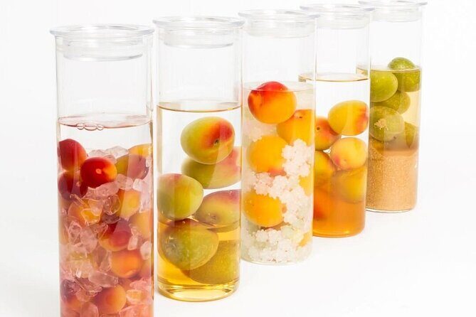 Kyoto Ume Liqueur Experience with CHOYA Make Your Unique Souvenir - Who This Experience Is Best For