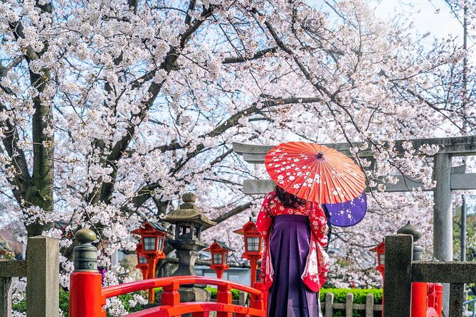 kyoto-uncovered-one-full-day-private-experience-for-first-timers