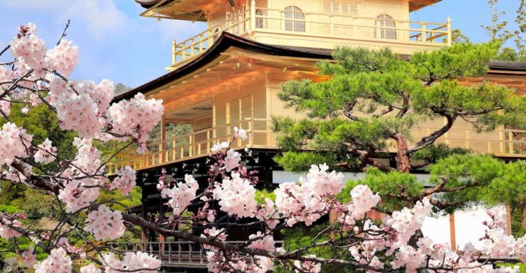 kyoto-unesco-sites-shrines-and-temples-guided-tour