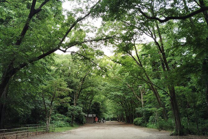Kyoto: Walk Through History in Shimogamos Sacred Woods - A Closer Look at the Itinerary
