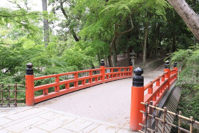 kyoto-walking-tour-at-fushimi-inari-shrine-and-tofukuji-temple