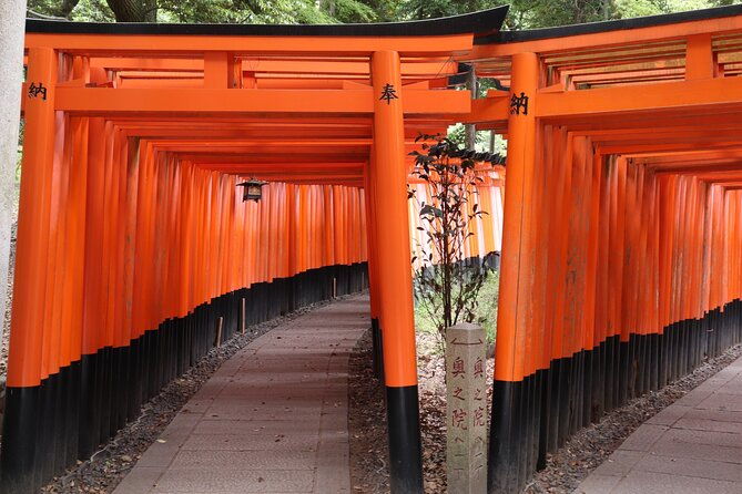 kyoto-walking-tour-at-fushimi-inari-shrine-and-tofukuji-temple
