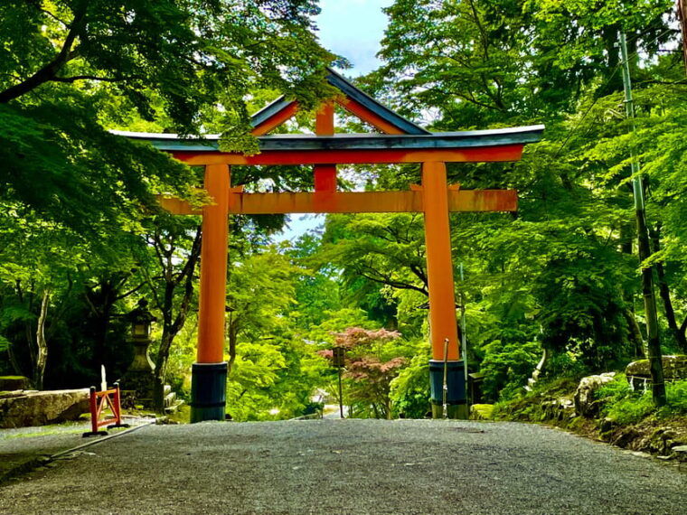 kyoto-world-heritage-enryakuji-and-monks-town-private-tour
