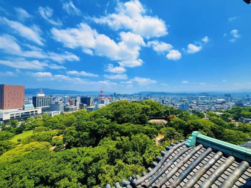 Kyoto:Kimono Tea Ceremony Experiencw Tour - Key Points