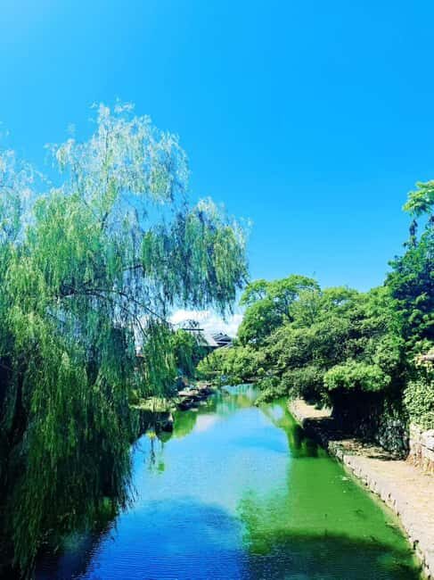 Kyoto:Kimono Tea Ceremony Experiencw Tour - What to Expect from the Kyoto Kimono Tea Ceremony Tour