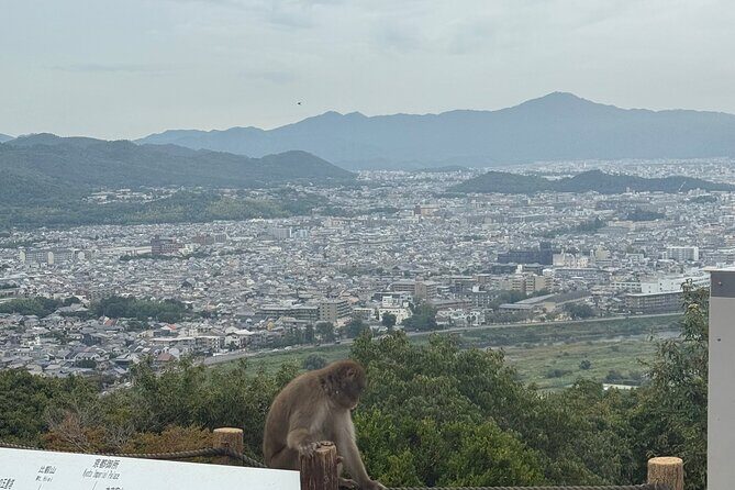 Kyoto&Nara Day Tour | English Guide & Private Vehicle - An In-Depth Look at the Tour Experience