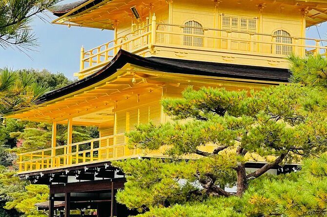 Kyoto&Nara Day Tour | English Guide & Private Vehicle - The Bottom Line