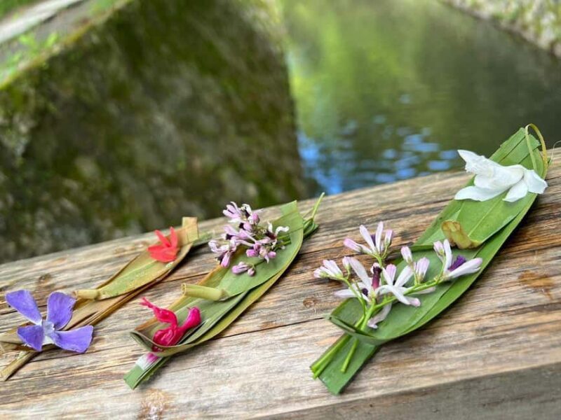 Kyoto:Philosophers Path Seasonal Walk - An In-Depth Look at the Philosophers Path Walking Tour