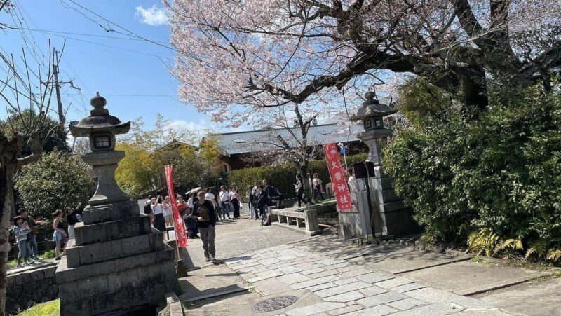 Kyoto:Philosophers Path Seasonal Walk - Authentic Insights from Past Participants