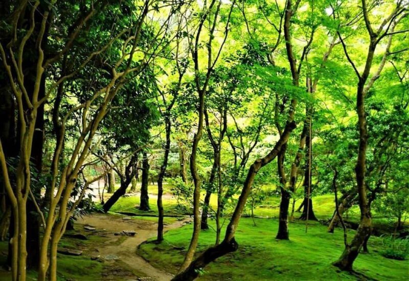 Kyoto:Philosophers Path Seasonal Walk - The Sum Up: Is this Tour Worth It?