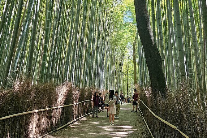 kyotos-arashiyama-bamboo-grove-3-hour-guided-tour
