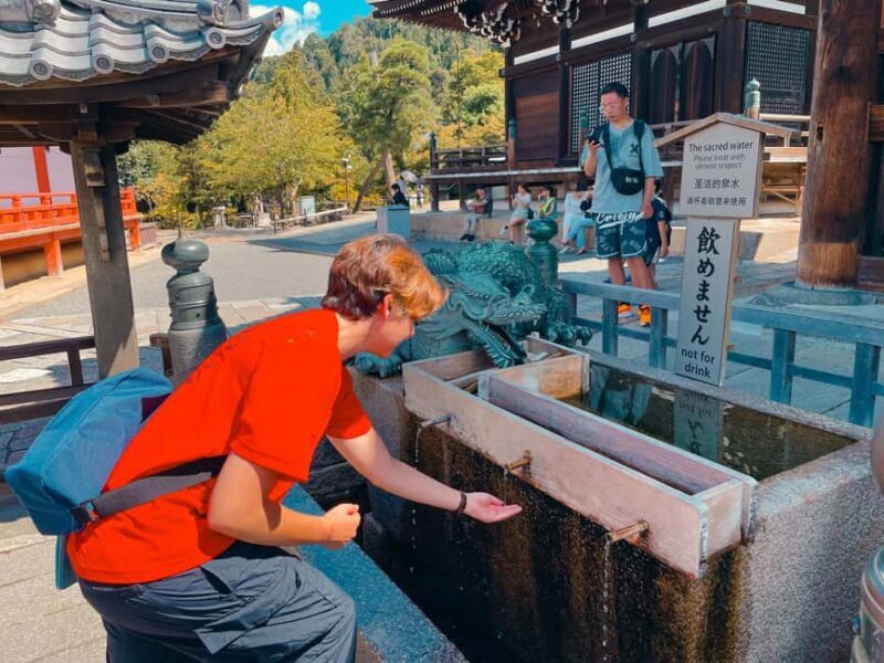 Kyoto's Soul: Gion & Kiyomizudera Historical Walking Tour - Local Shopping and Tasting Opportunities