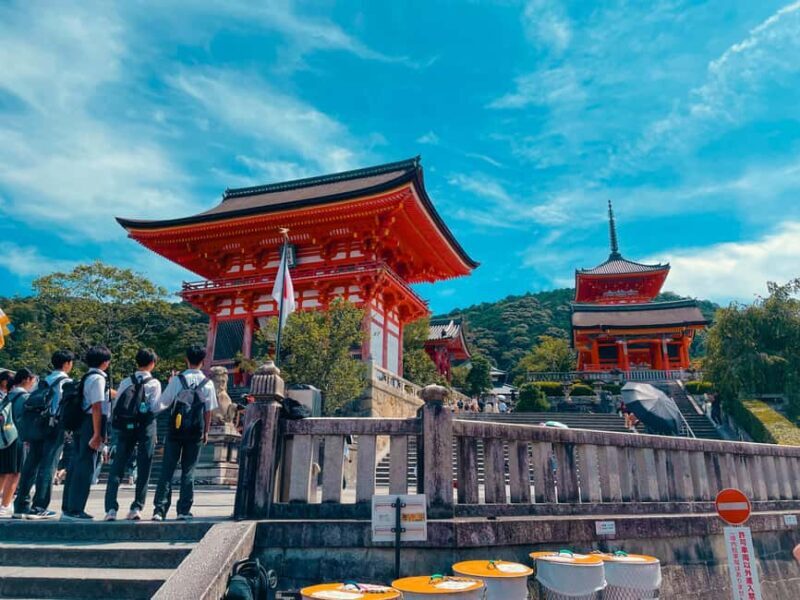 Kyoto's Soul: Gion & Kiyomizudera Historical Walking Tour - Who this tour is perfect for