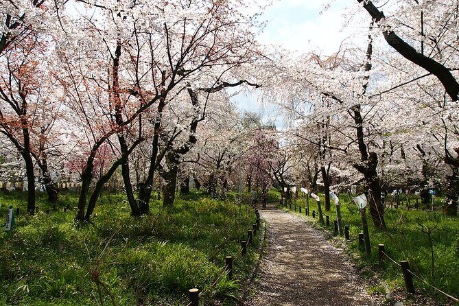 Kyoto's World Heritage Walking Tour from Kyoto st. - A Detailed Look at the Kyoto UNESCO Heritage Tour