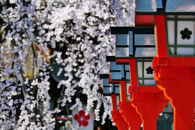 Kyoto's World Heritage Walking Tour from Kyoto st. - Who This Tour Is Perfect For