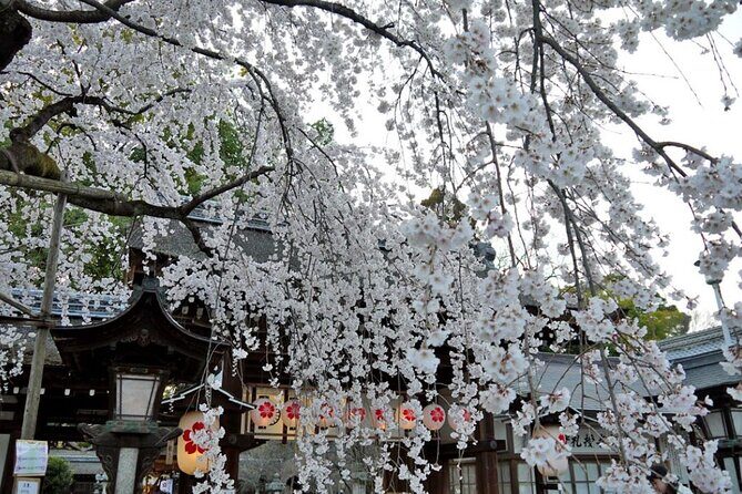 Kyoto's World Heritage Walking Tour from Kyoto st. - FAQ