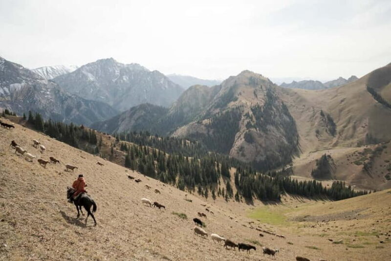 Kyrgyzstan: Horse trek, horsemanship & local community - Who Will Love This Tour?