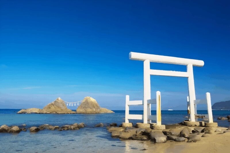 Kyushu 9-hour chartered day trip Fukuoka - Key Points