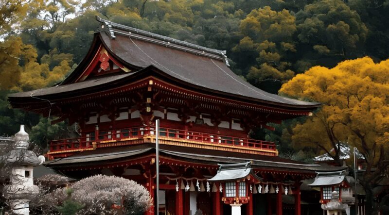 Kyushu 9-hour chartered day trip Fukuoka - Transport and Comfort