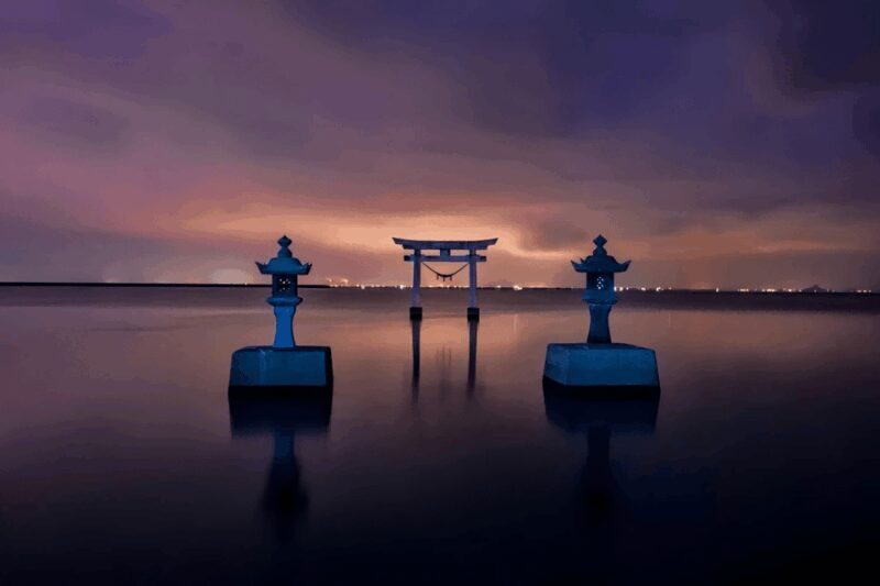 Kyushu 9-hour chartered day trip Kumamoto - Key Points