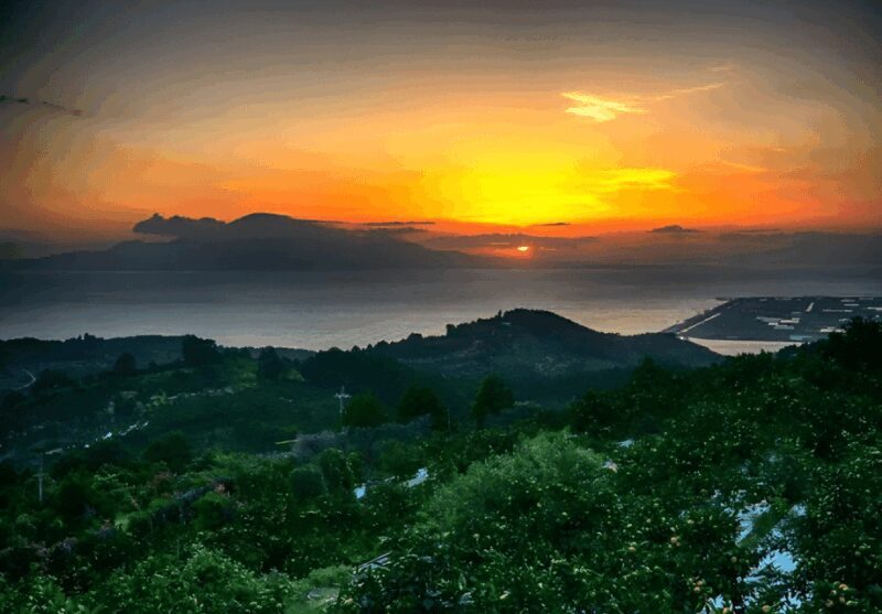 Kyushu 9-hour chartered day trip Kumamoto - Transport, Pricing, and Practical Details