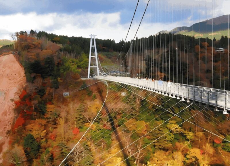 Kyushu 9-hour chartered day trip Oita - What Makes This Tour Stand Out?