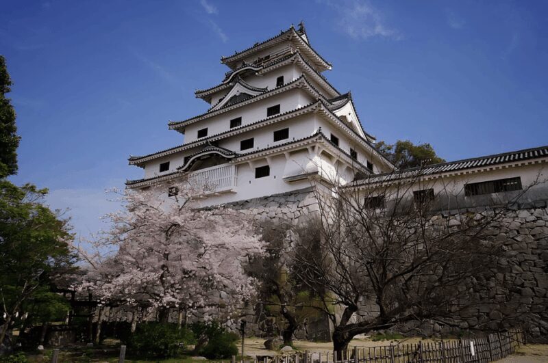 Kyushu 9-hour chartered day trip Saga - Exploring Saga in Comfort and Style