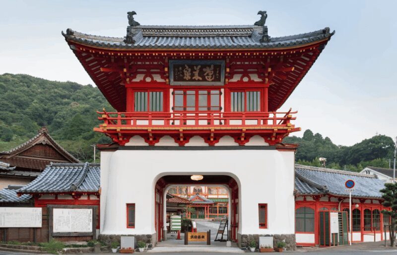 Kyushu 9-hour chartered day trip Saga - Practical Insights and Traveler Tips