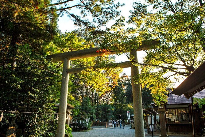kyushu-day-trip-to-takachiho-gorge-and-shrines-from-fukuoka