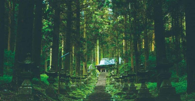 kyushu-kamisiki-mikumano-shrine-takachiho-gorge-day-tour