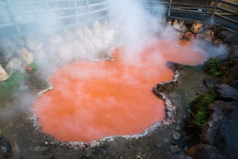 Kyushu Natural Adventure Day Tour: Zoo, Onsen & Hellscape - Kyushu Natural Adventure Day Tour: Zoo, Onsen & Hellscape