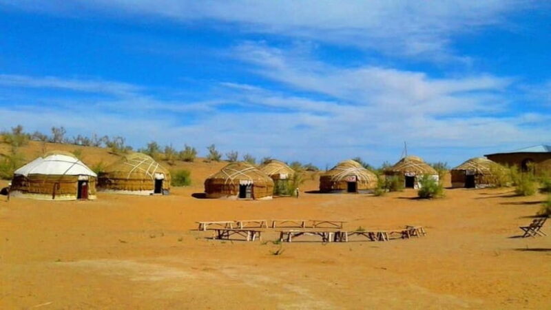 Kyzylkum Desert tour from Samarkand (1Night 2 Days) - Overview of the Kyzylkum Desert from Samarkand