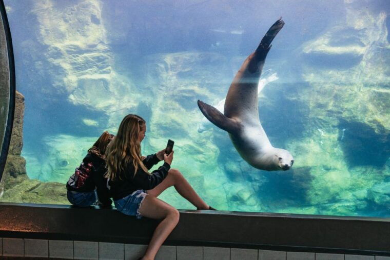 la-aquarium-of-the-pacific-skip-the-line-entry