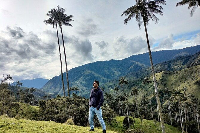 la-carbonera-tower-a-large-forest-of-wax-palms