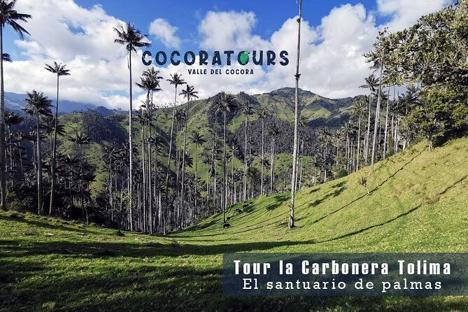 la-carbonera-tower-a-large-forest-of-wax-palms