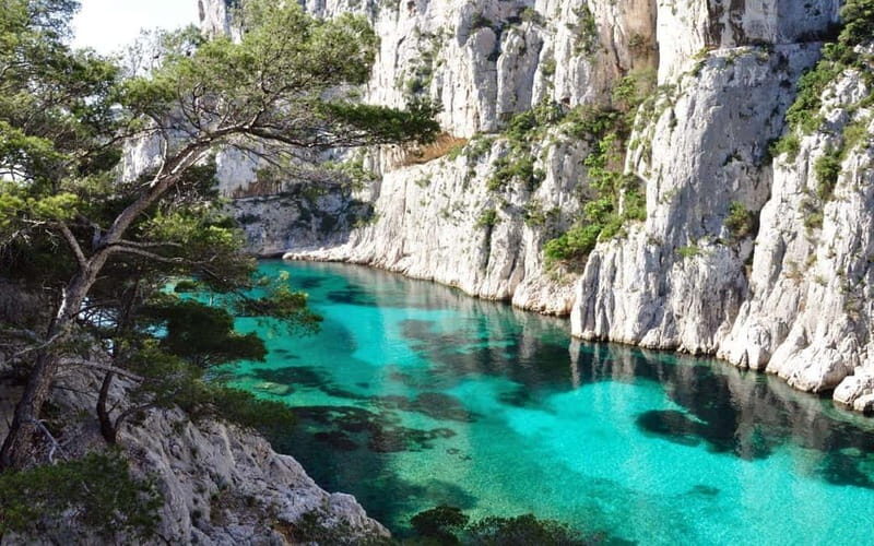 La Ciotat: Boat Tour in the Calanques with swimming - The Experience: What to Expect