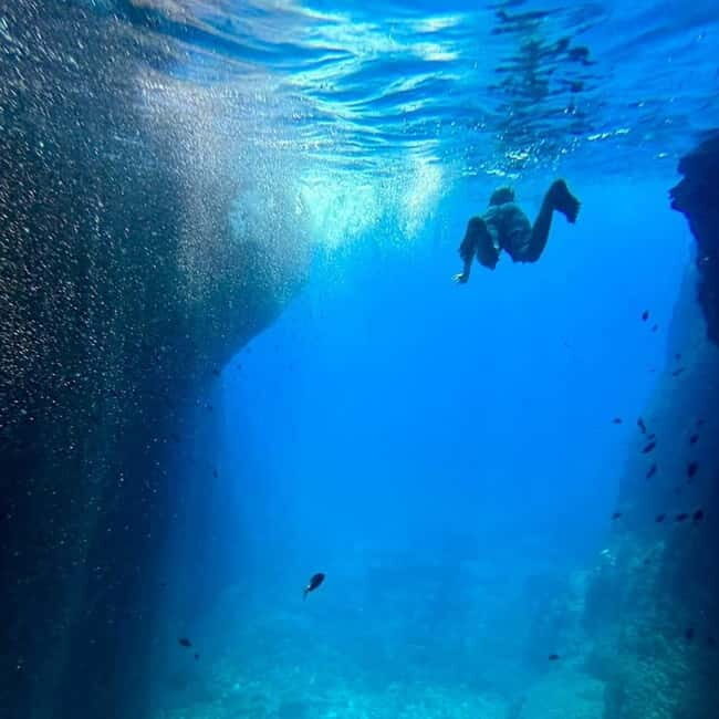 La Ciotat: Boat Tour in the Calanques with swimming - The Value of the Experience