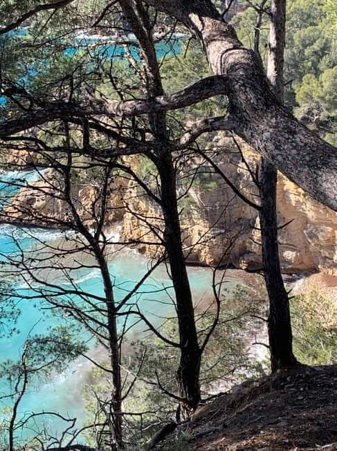 La Ciotat: Boat Tour to Cove of Var / Embiez and swimming - Who Should Consider This Experience
