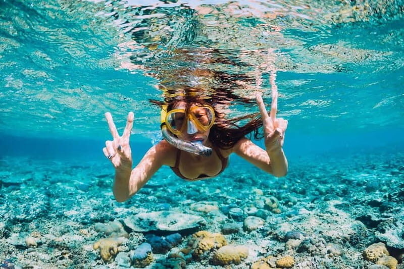 La Ciotat: Calanques Morning Boat Tour with Snorkeling - What Travelers Can Expect