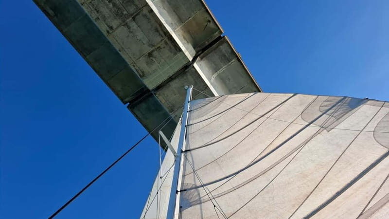 La Flotte en Ré - 4 hrs Sailing Catamaran Half-Day Cruise - An Authentic, Scenic Half-Day