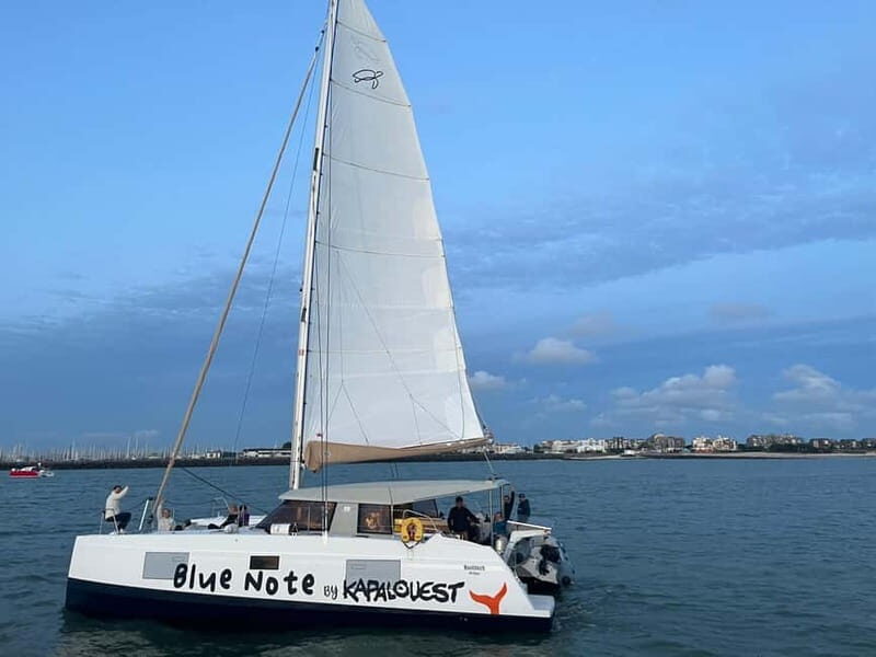 La Flotte en Ré - 4 hrs Sailing Catamaran Half-Day Cruise - What the Cruise Offers: A Scenic Coastal Perspective