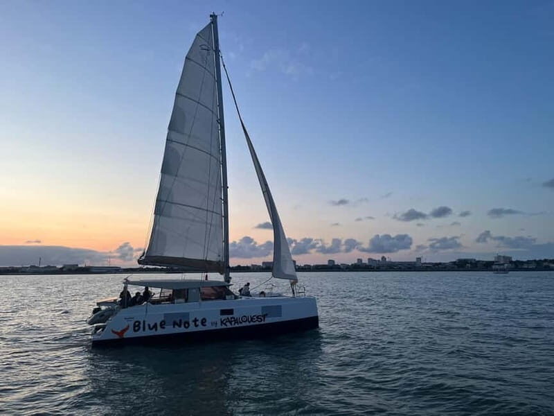 La Flotte en Ré - 5H30 Sailing Catamaran Long Cruise - FAQs