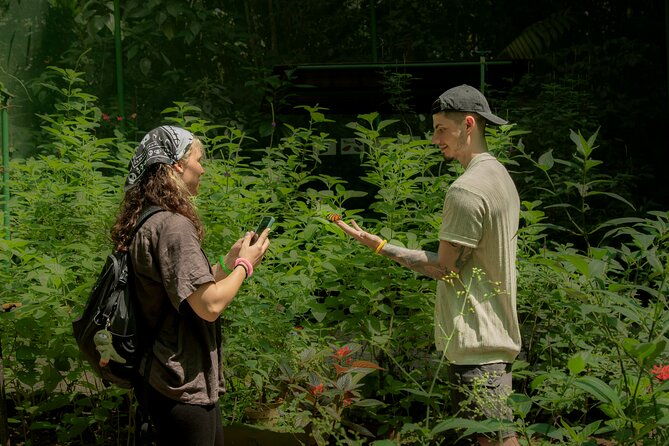 la-fortuna-arenal-butterfly-garden