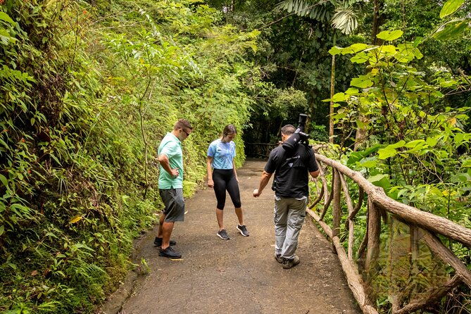 la-fortuna-arenal-hanging-bridges-hiking-tour