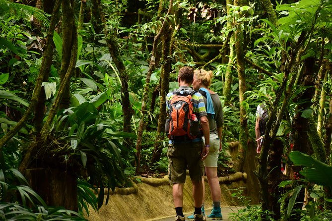 la-fortuna-waterfall-park-farm-to-table-lunch