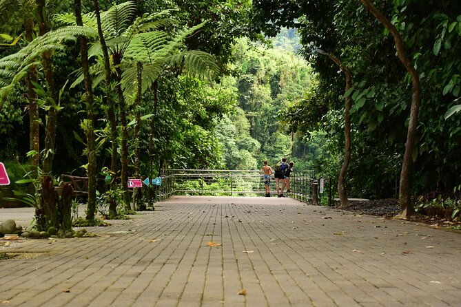 la-fortuna-waterfall-park-farm-to-table-lunch
