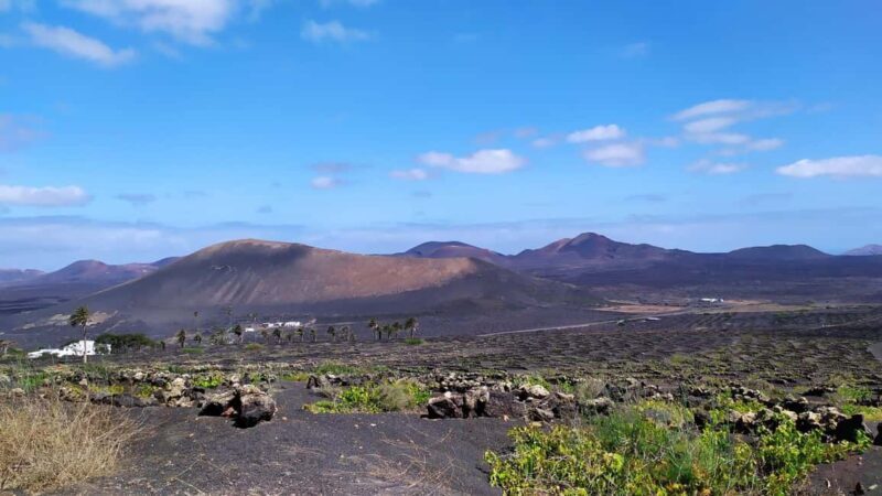 La Geria: a walk among volcanoes and vineyards - Practical Details and Value